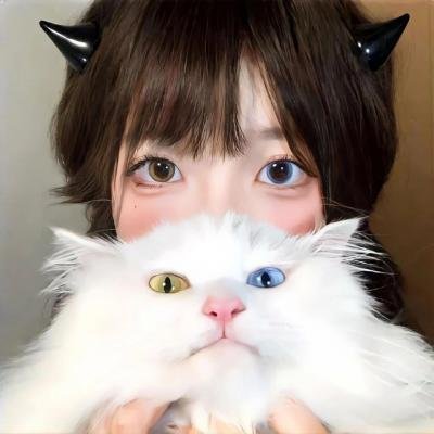 茶杯头大冒险第二季